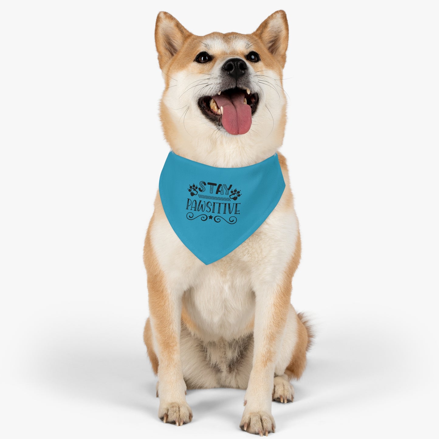 Pet Bandana Collar Stay Pawsitive, Turquoise