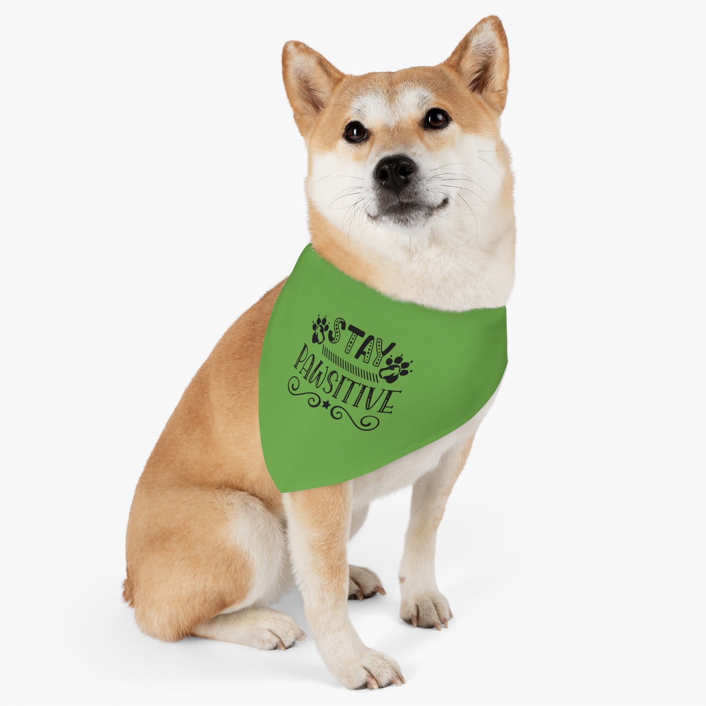 Pet Bandana Collar 12.6" to 19.69" Stay Pawsitive, Green