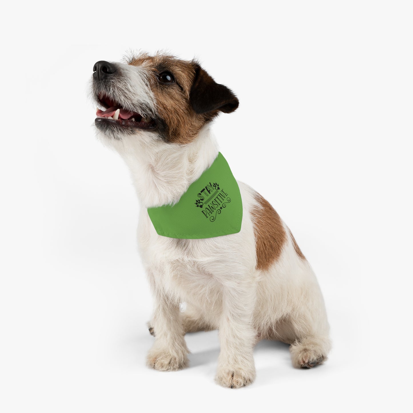 Pet Bandana Collar 12.6" to 19.69" Stay Pawsitive, Green