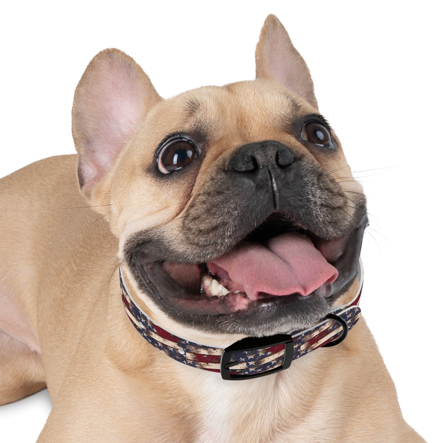 Distressed Flag Dog Collar