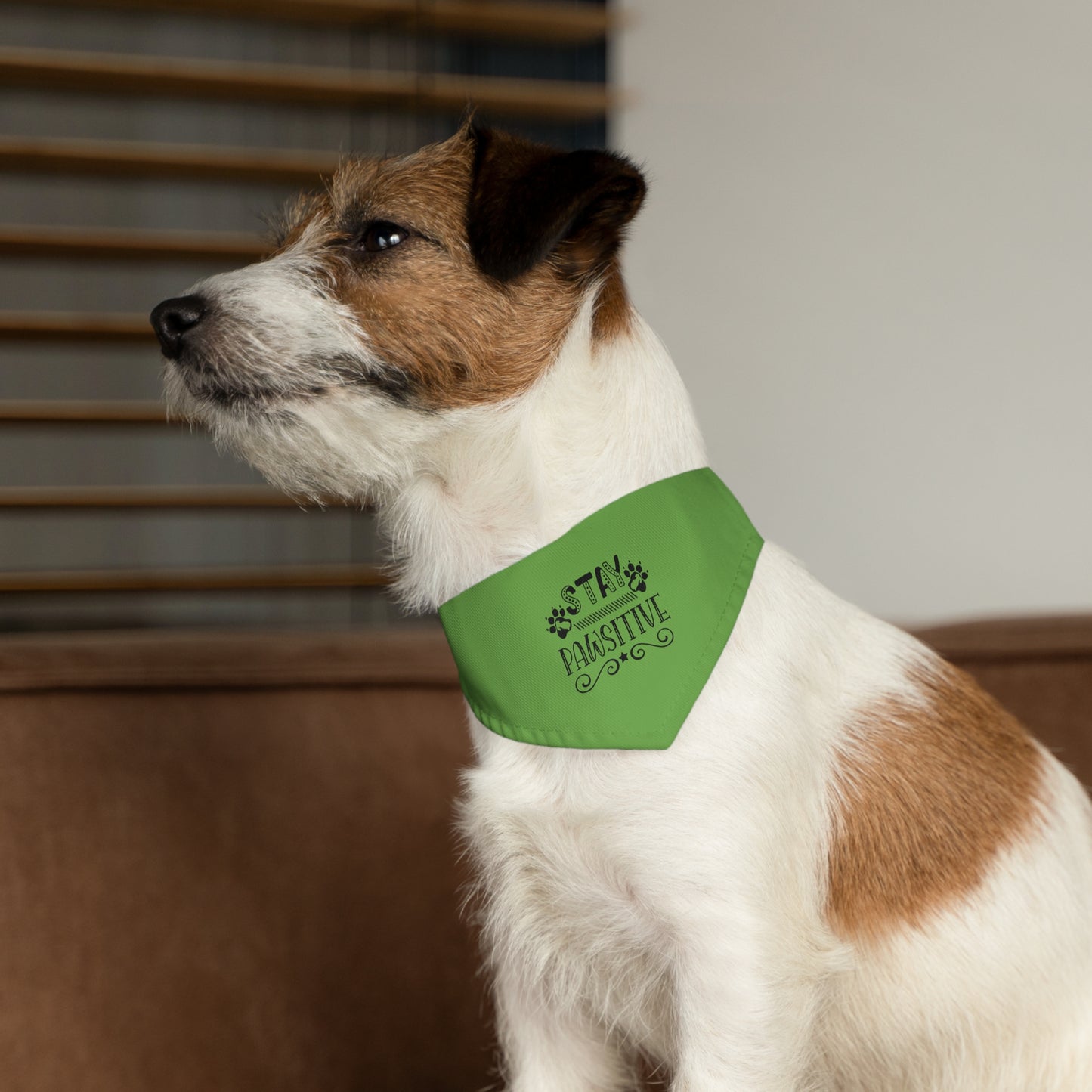 Pet Bandana Collar 12.6" to 19.69" Stay Pawsitive, Green