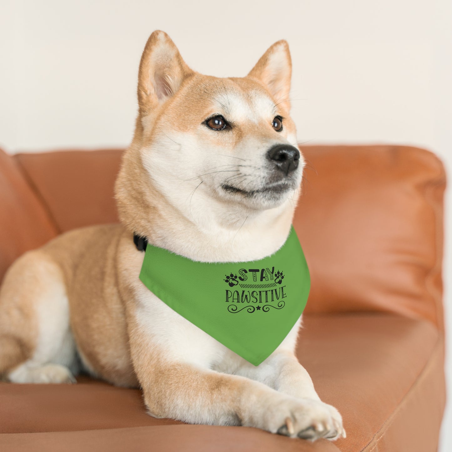 Pet Bandana Collar 12.6" to 19.69" Stay Pawsitive, Green