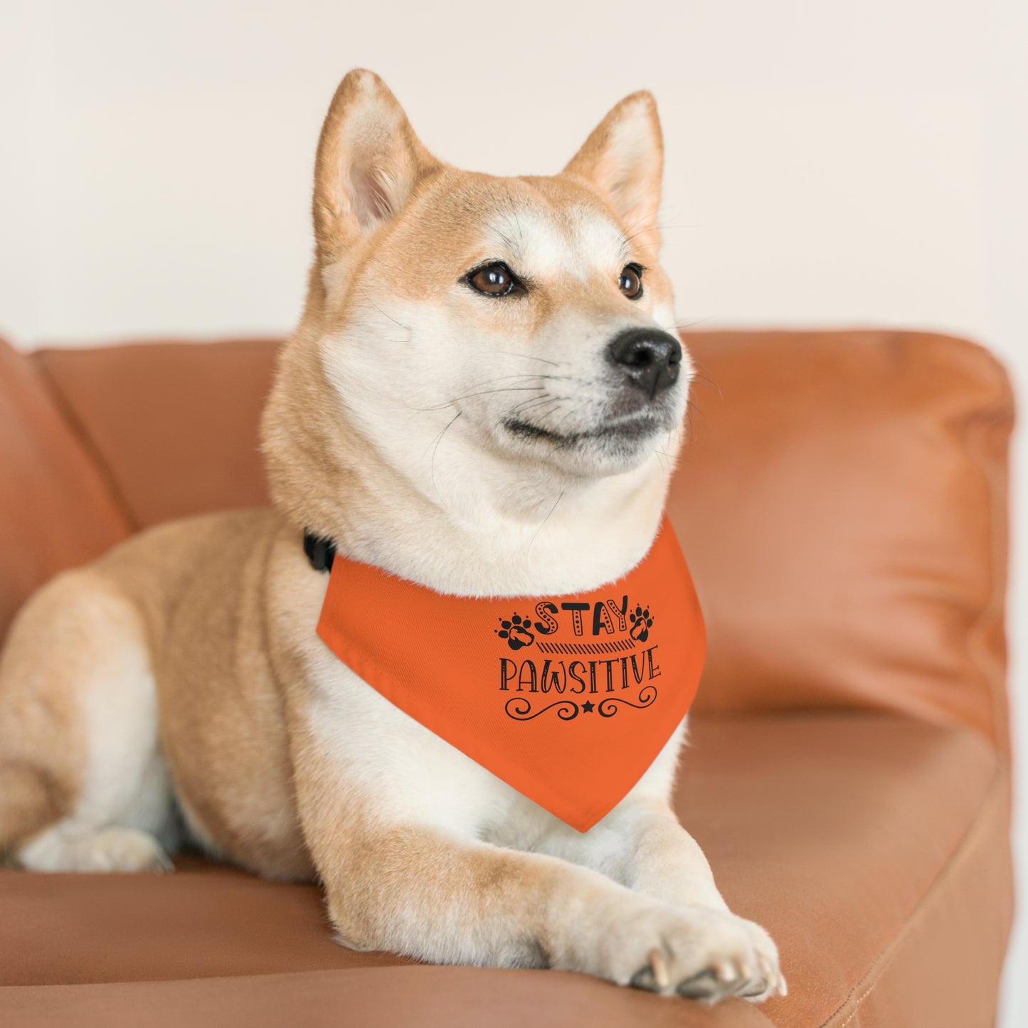 Pet Bandana Collar, Stay Pawsitive, Orange