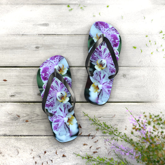 Flip Flops, Orchids, Purple, Flowers