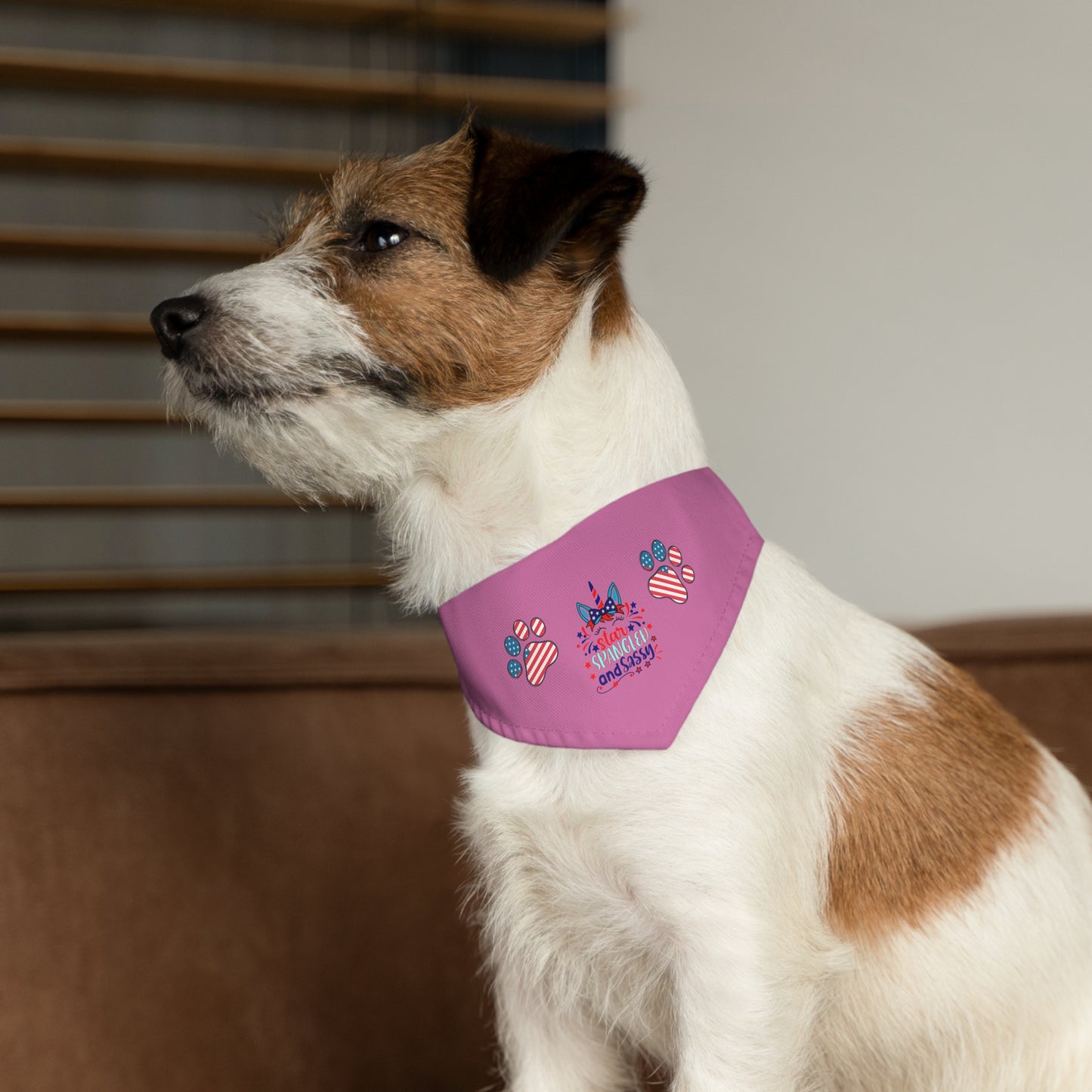 4th of July Patriotic Pet Bandana Collar Star Spangled and Sassy