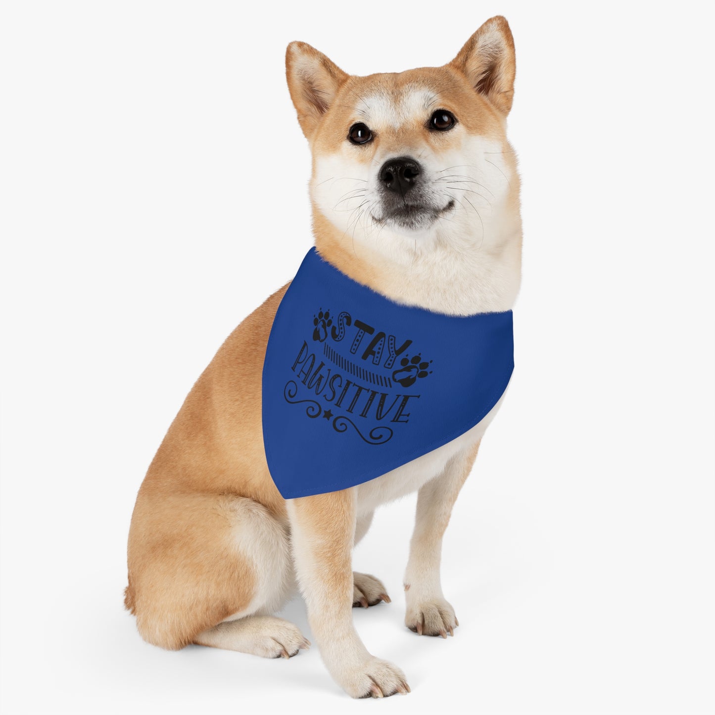 Pet Bandana Collar, Stay Pawsitive, Dark Blue