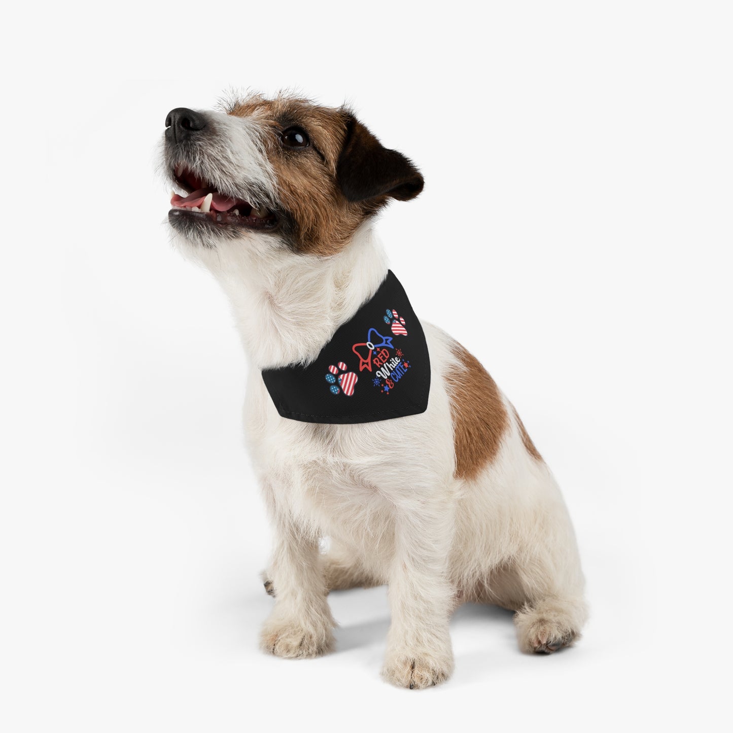 Black Patriotic Pet Bandana Collar Red White and Cute Bow July 4th Patriotic