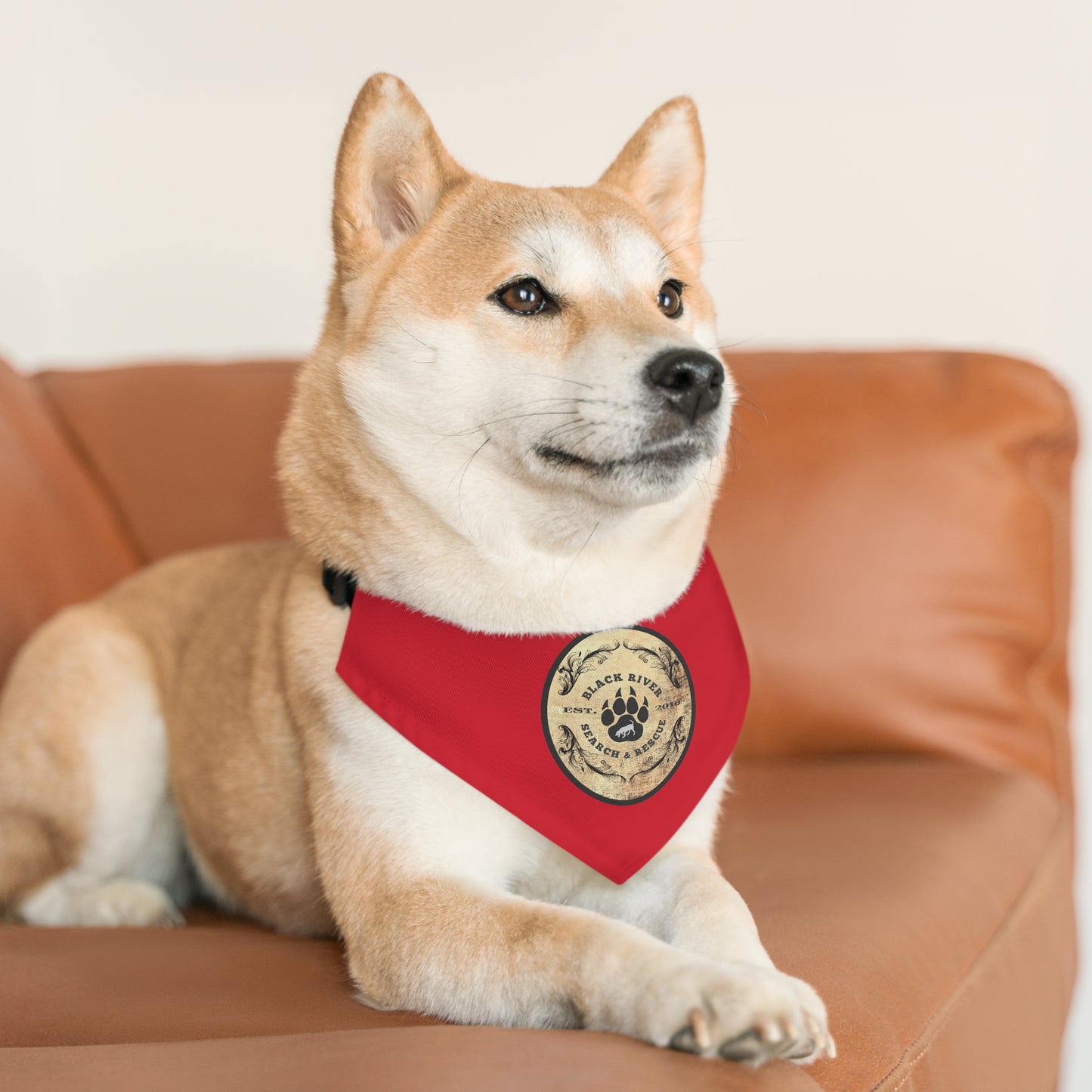 Red Black River Search & Rescue Logo Pet Bandana Collar