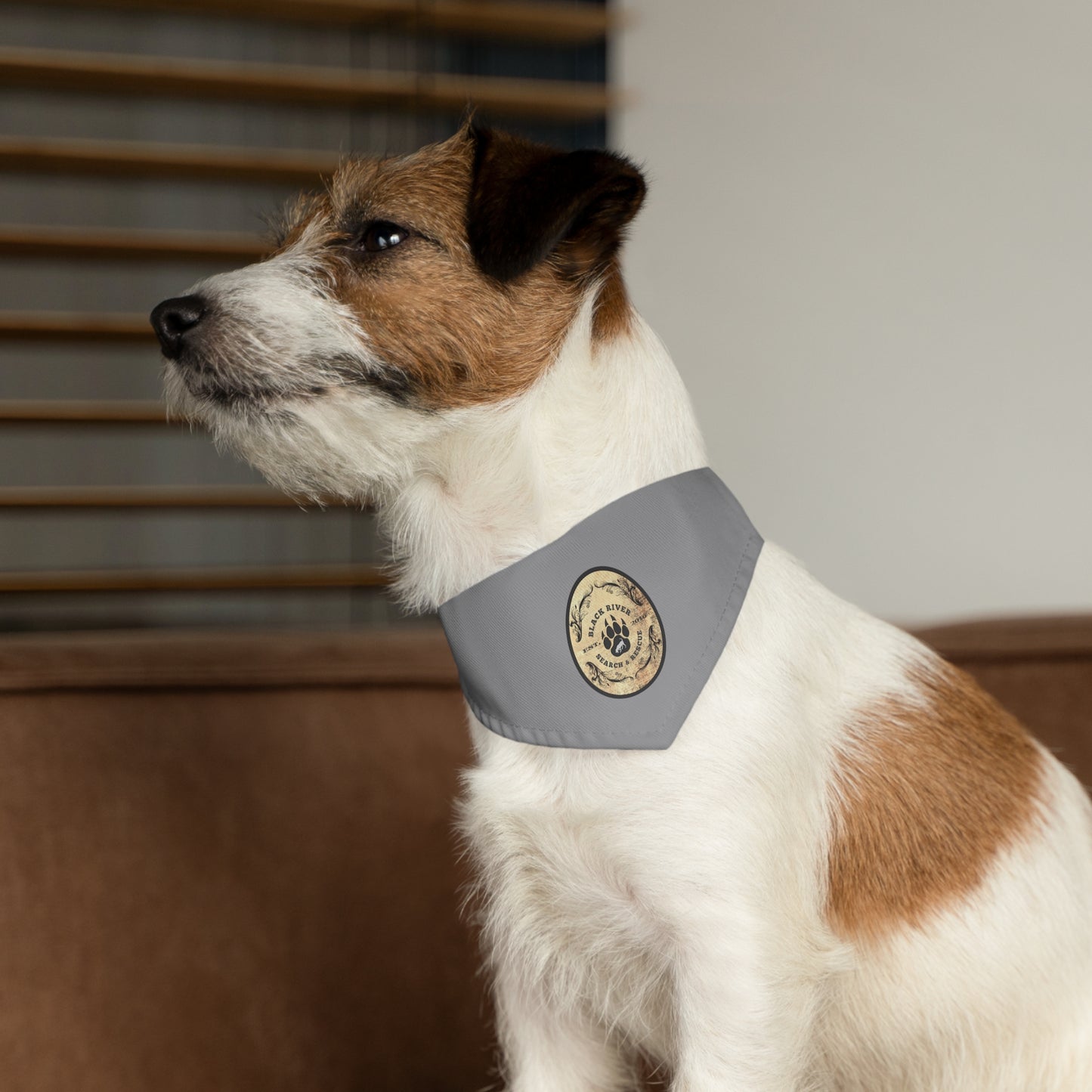 Grey Black River Search & Rescue Logo Pet Bandana Collar