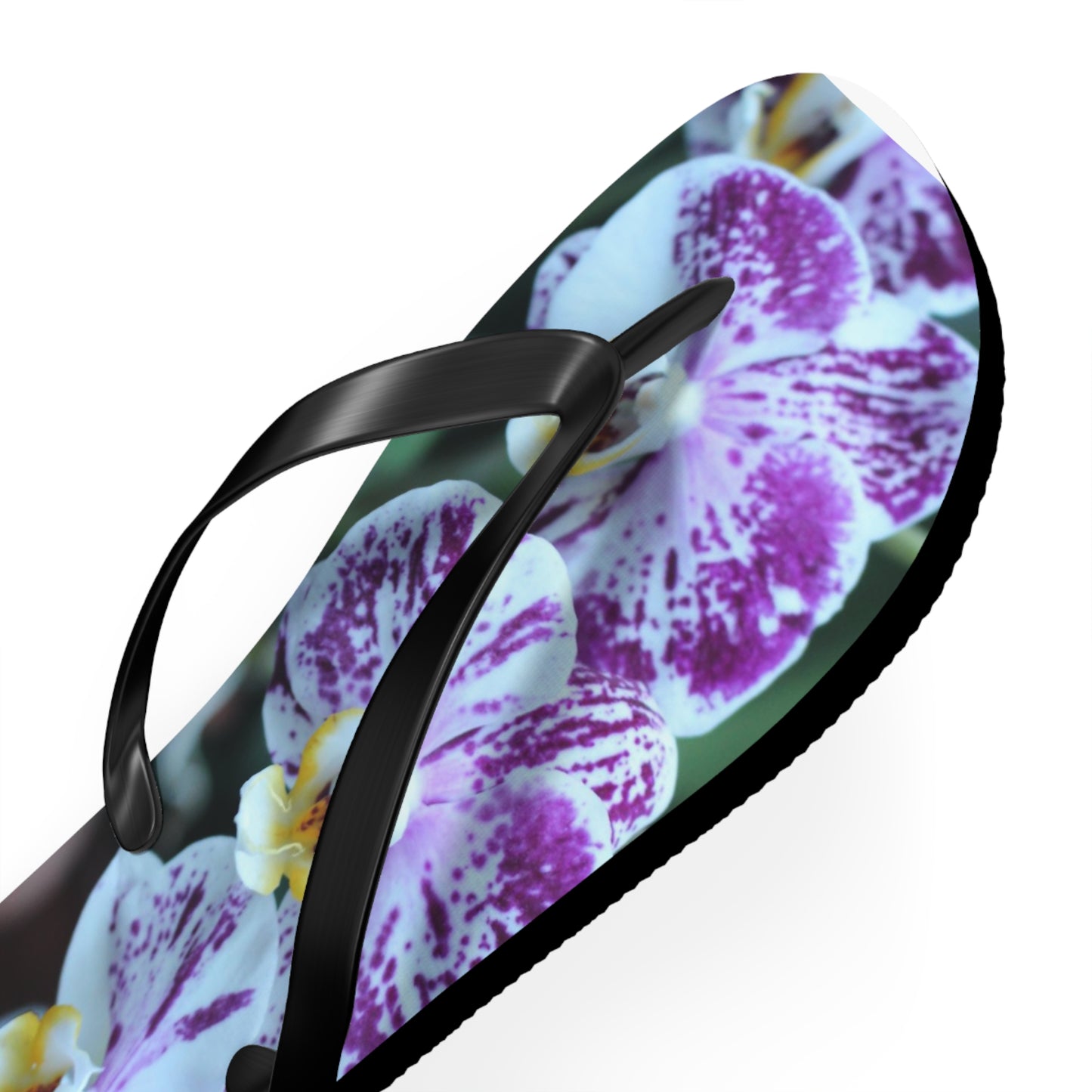 Flip Flops, Orchids, Purple, Flowers