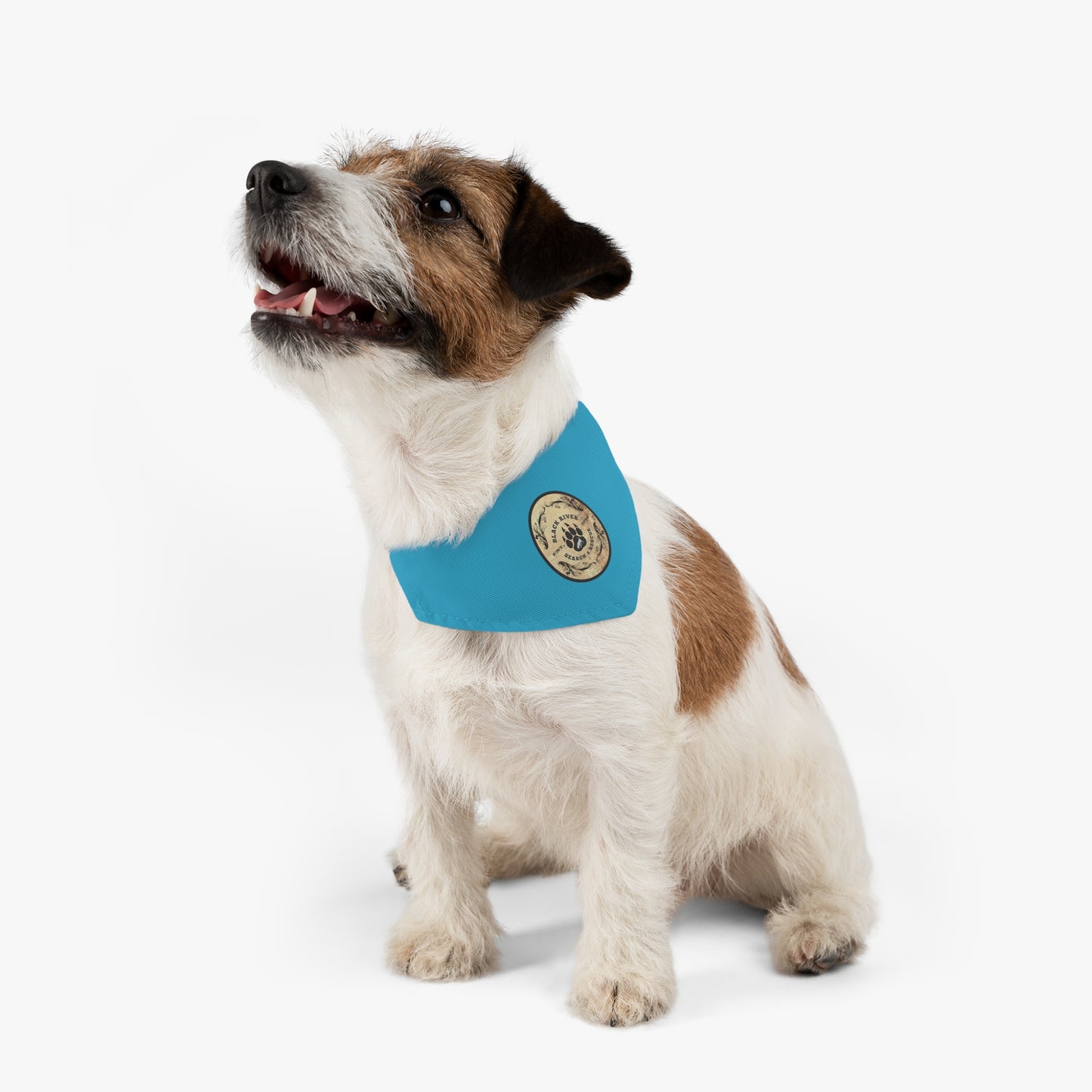 Turquoise Black River Search & Rescue Logo Pet Bandana Collar