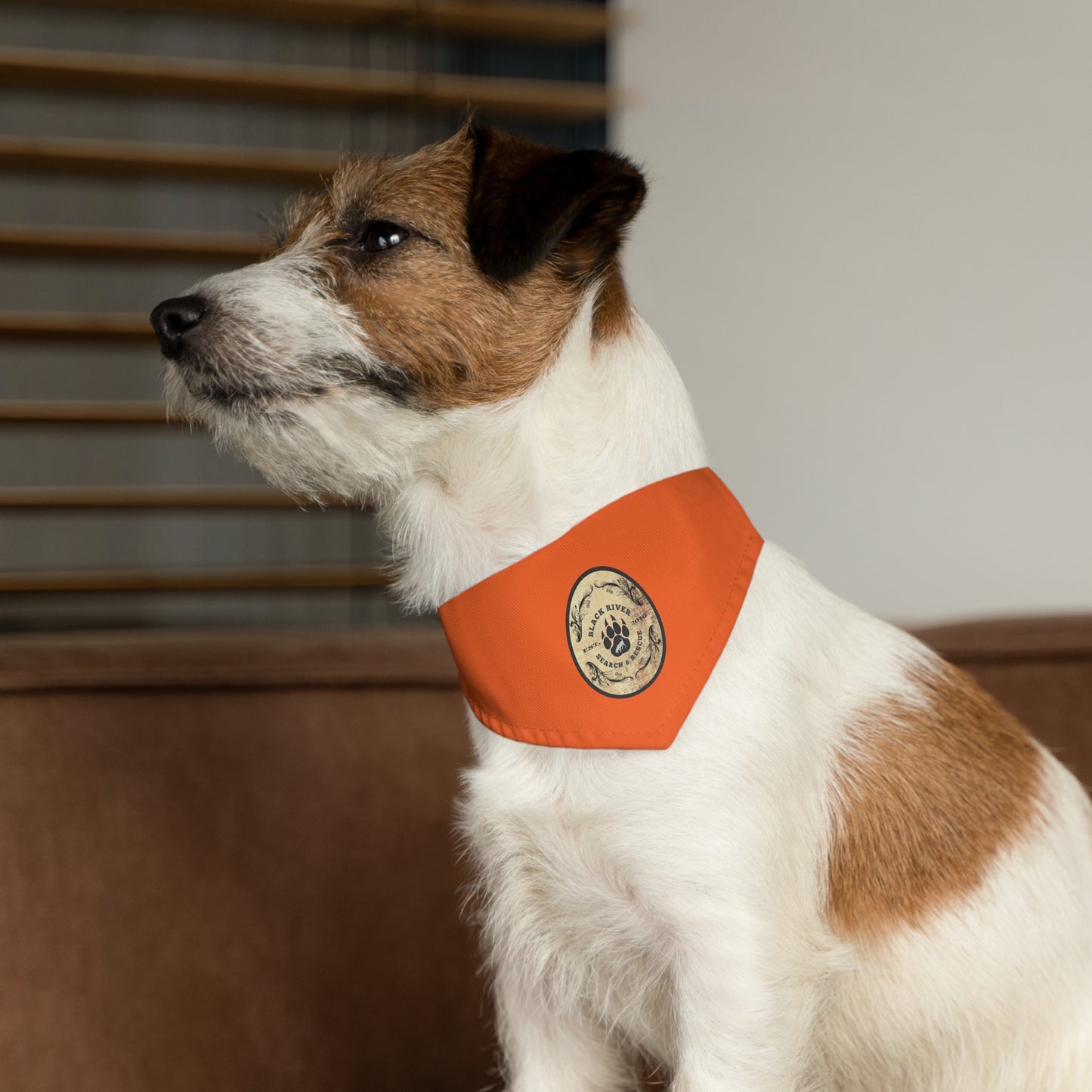 Orange Black River Search & Rescue Logo Pet Bandana Collar