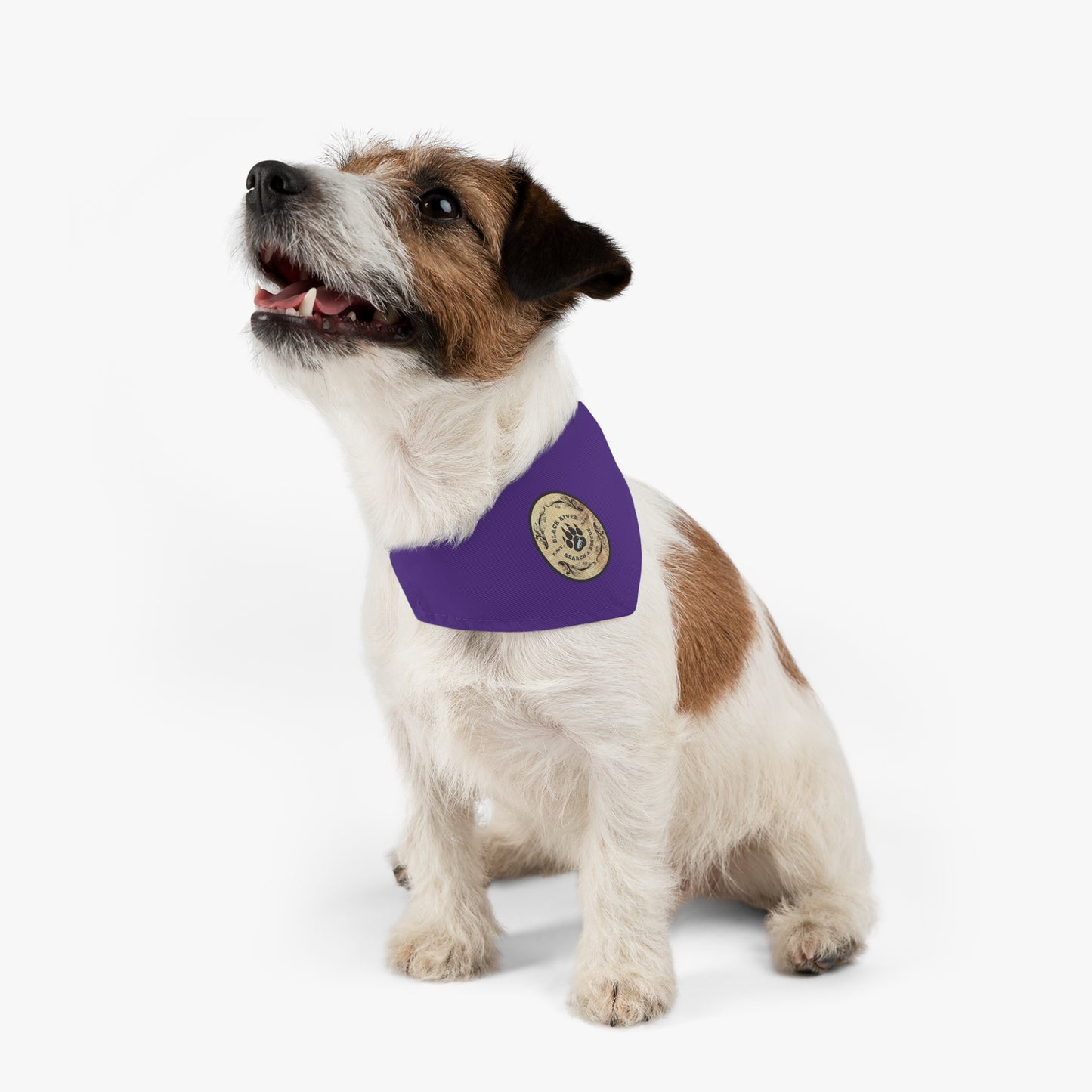 Purple Black River Search & Rescue Logo Pet Bandana Collar