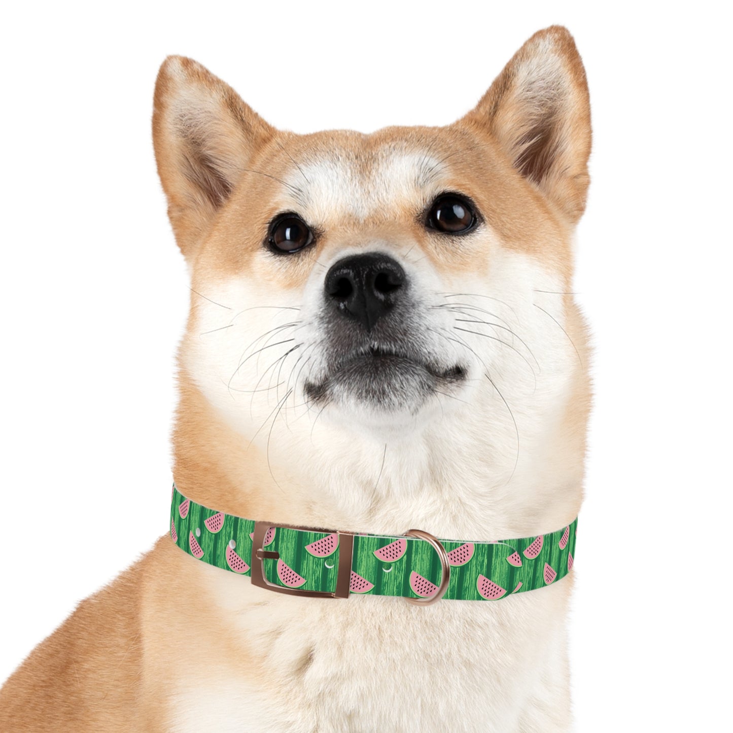 Watermelon Dog Collar