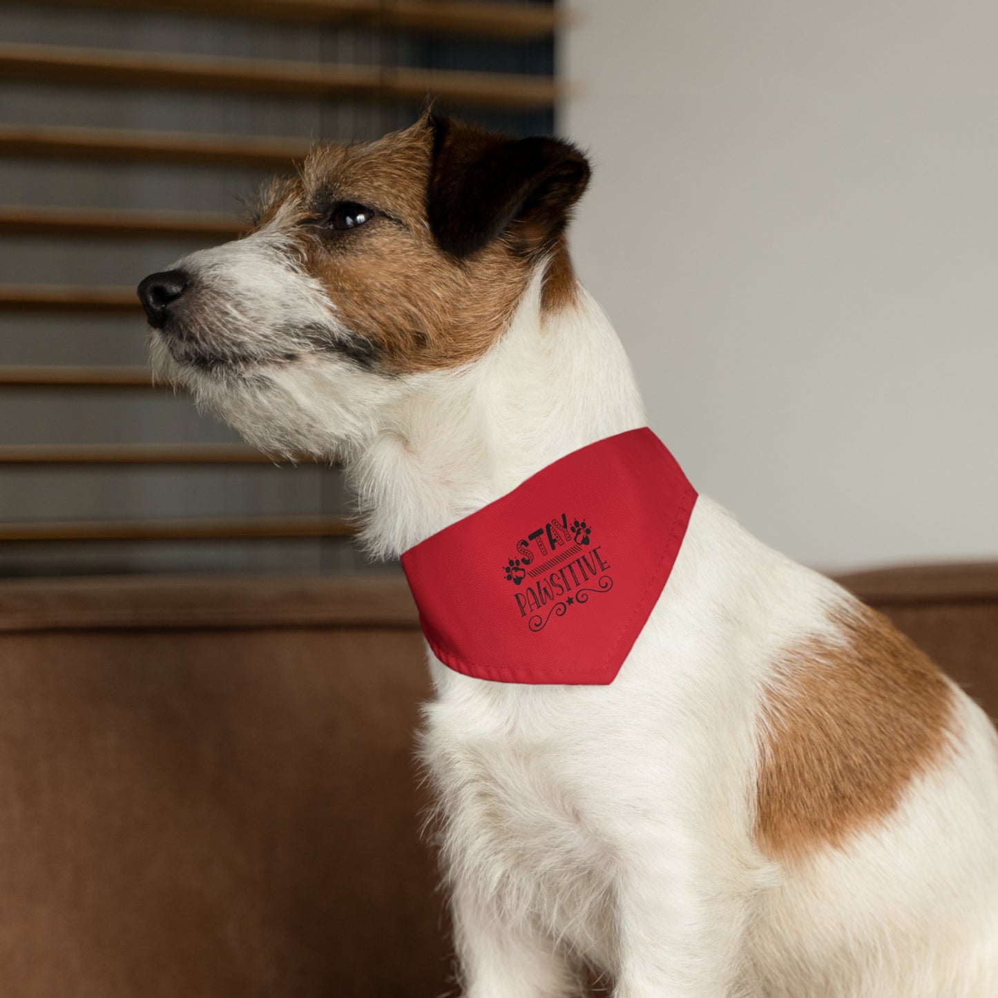 Pet Bandana Collar 12.6"x19.69" circumference Stay Pawsitive, Red