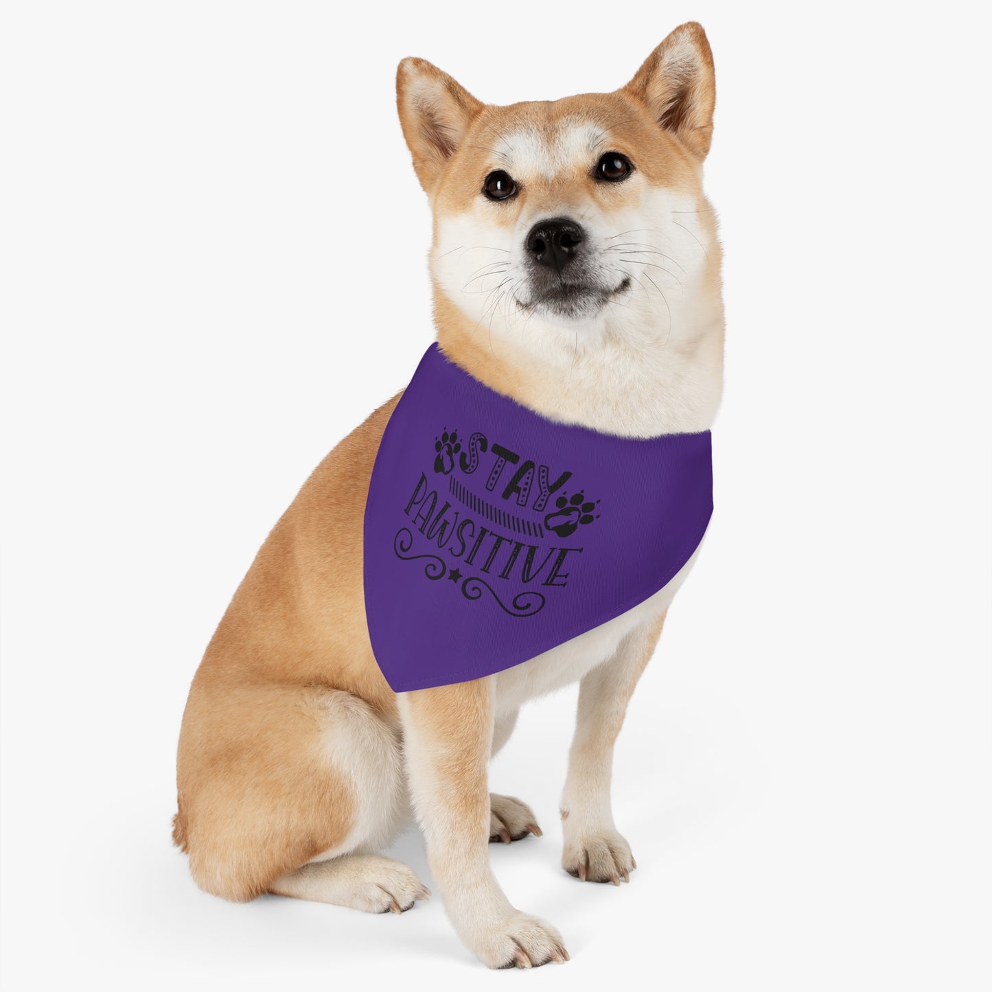 Pet Bandana Collar, Stay Pawsitive, Purple