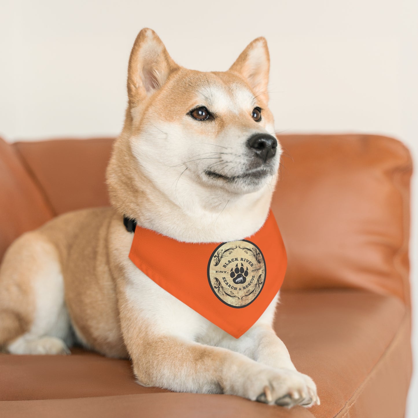 Orange Black River Search & Rescue Logo Pet Bandana Collar