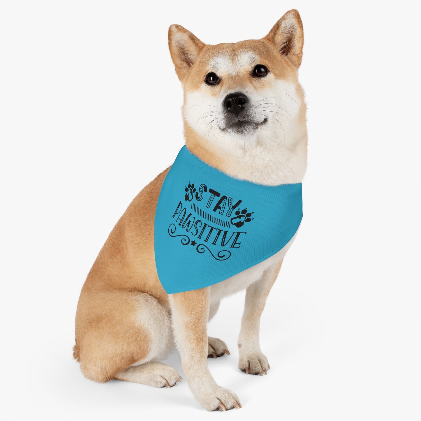 Pet Bandana Collar  Stay Pawsitive, Turquoise