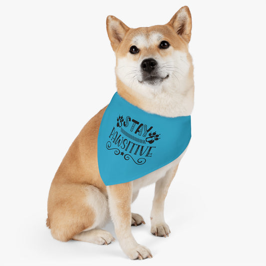 Pet Bandana Collar  Stay Pawsitive, Turquoise