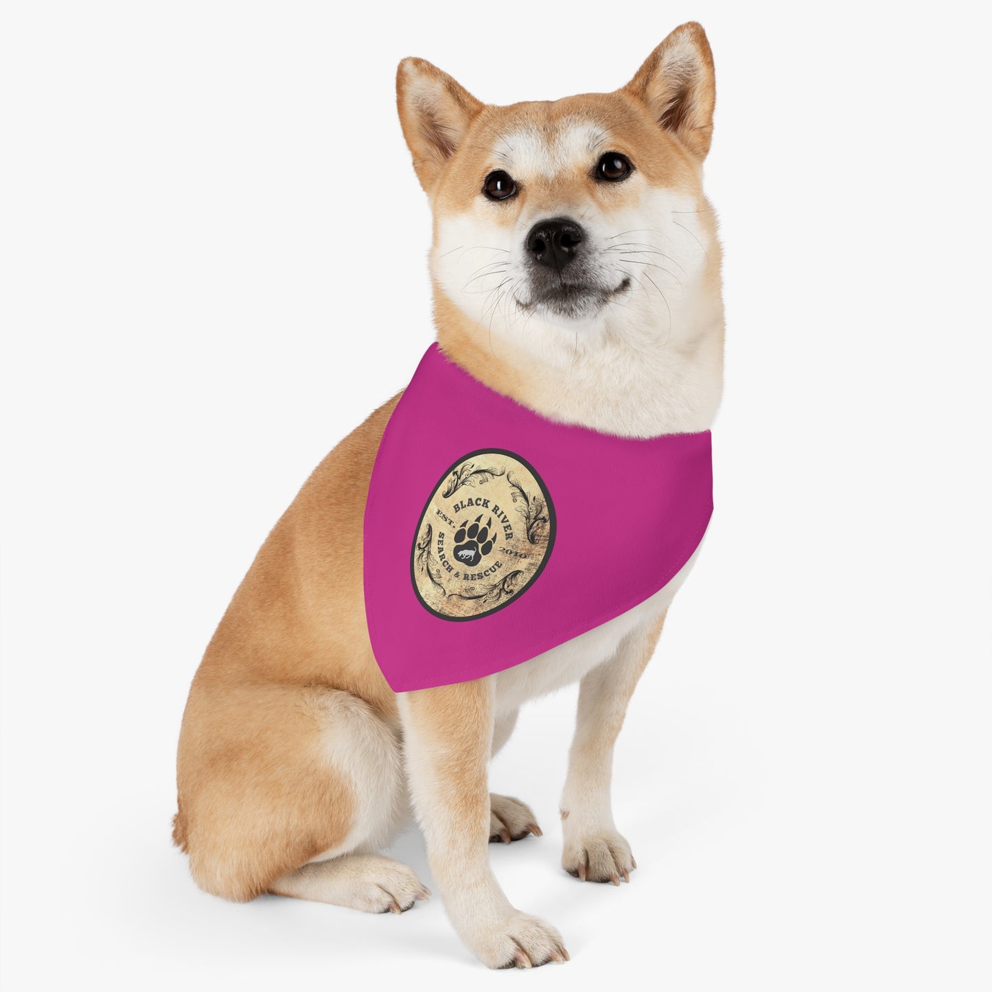 Pink Black River Search & Rescue Logo Pet Bandana Collar