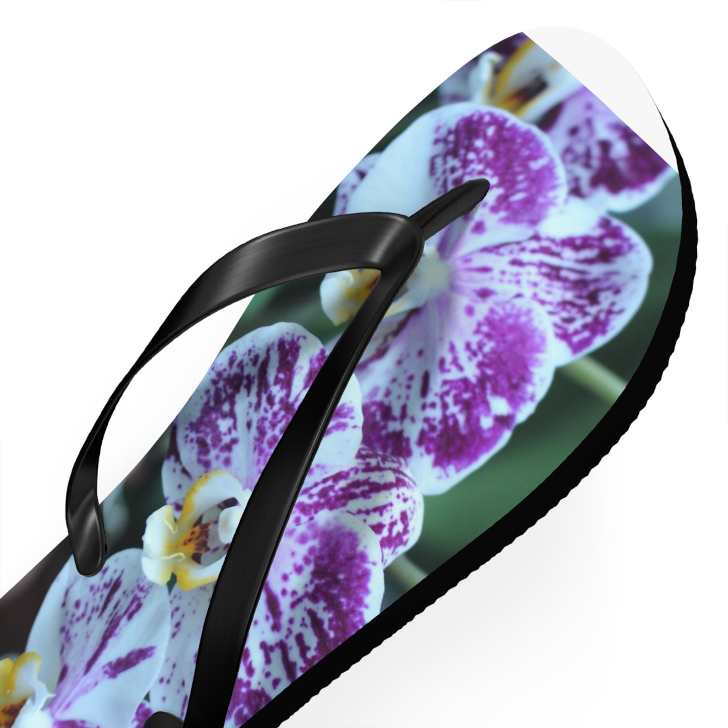 Flip Flops, Orchids, Purple, Flowers