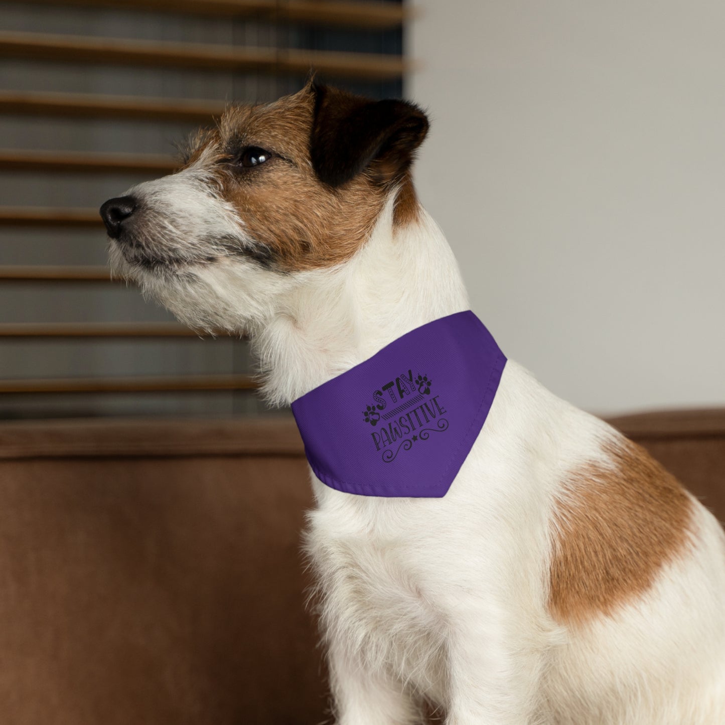 Pet Bandana Collar, Stay Pawsitive, Purple