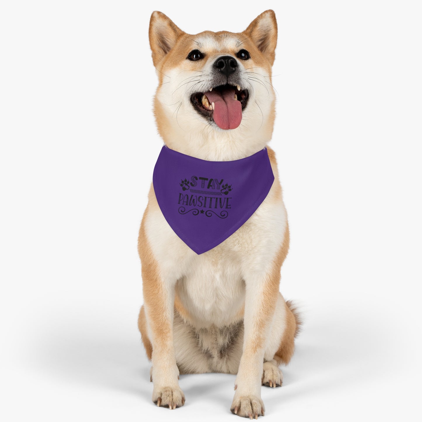 Pet Bandana Collar, Stay Pawsitive, Purple