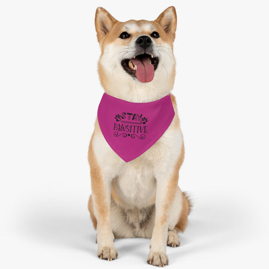 Pet Bandana Collar, Stay Pawsitive, Hot Pink