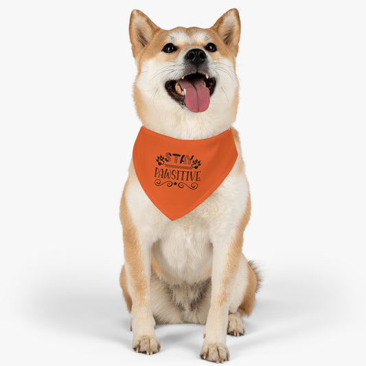 Pet Bandana Collar, Stay Pawsitive, Orange