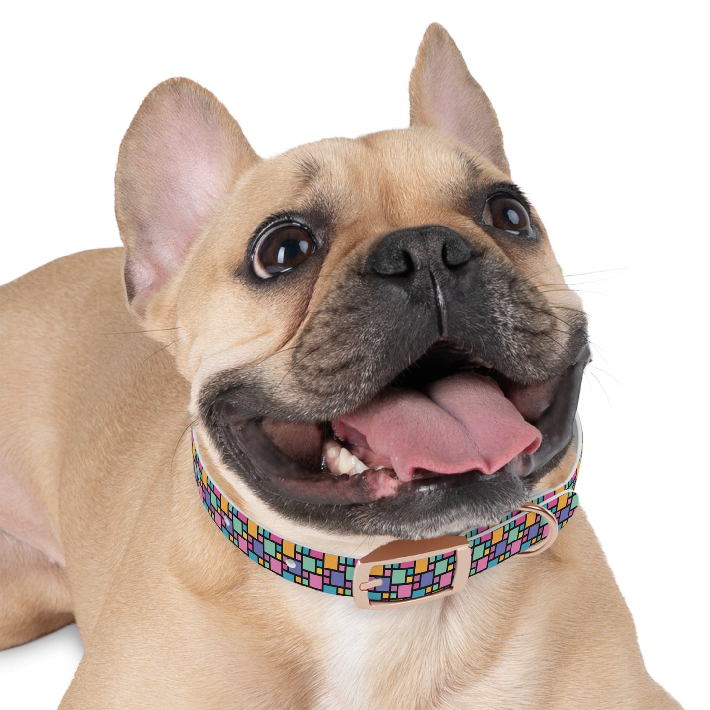 Retro Multicolor Plaid Dog Collar