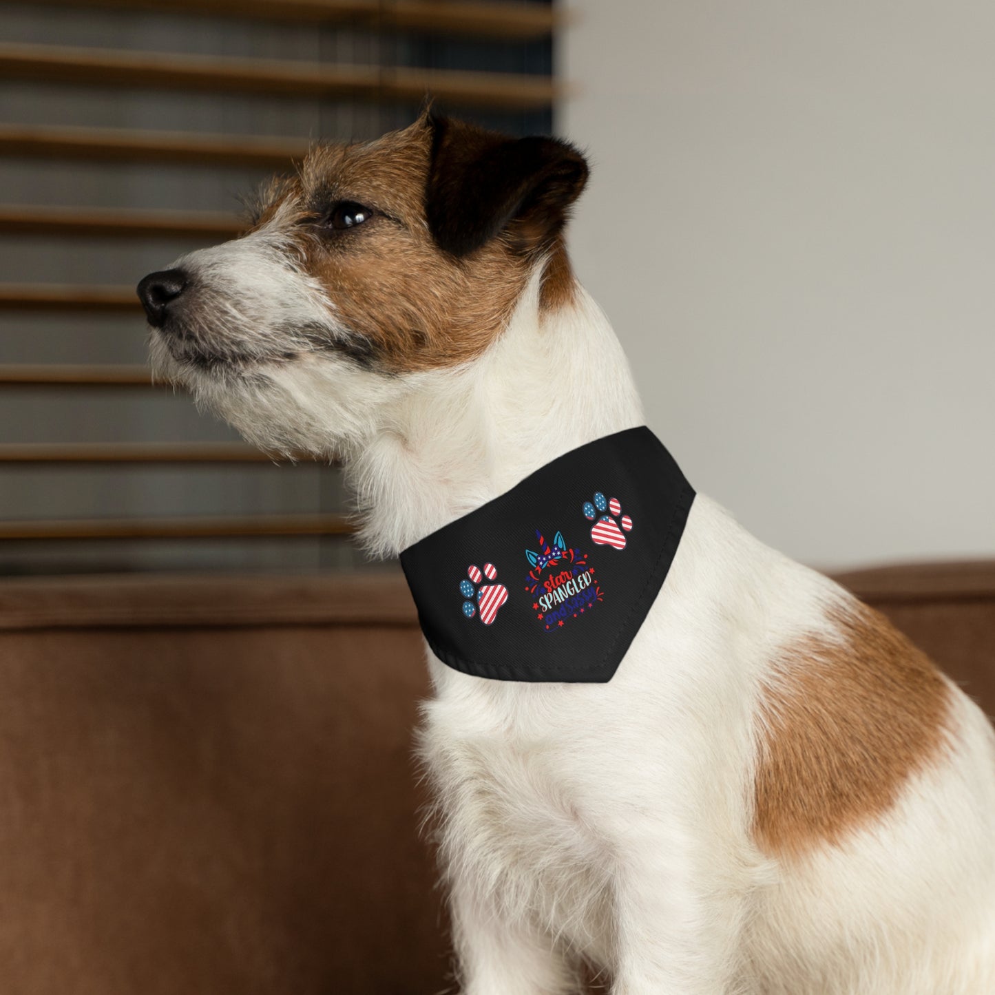 Black 4th of July Patriotic Pet Bandana Collar Star Spangled and Sassy