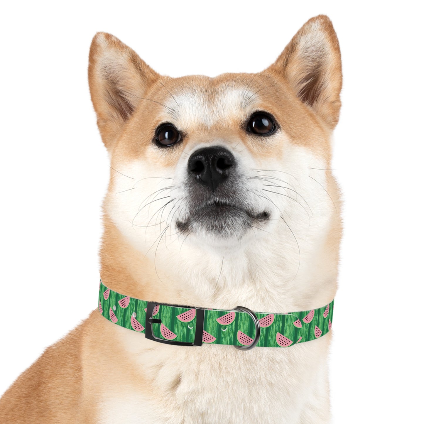 Watermelon Dog Collar