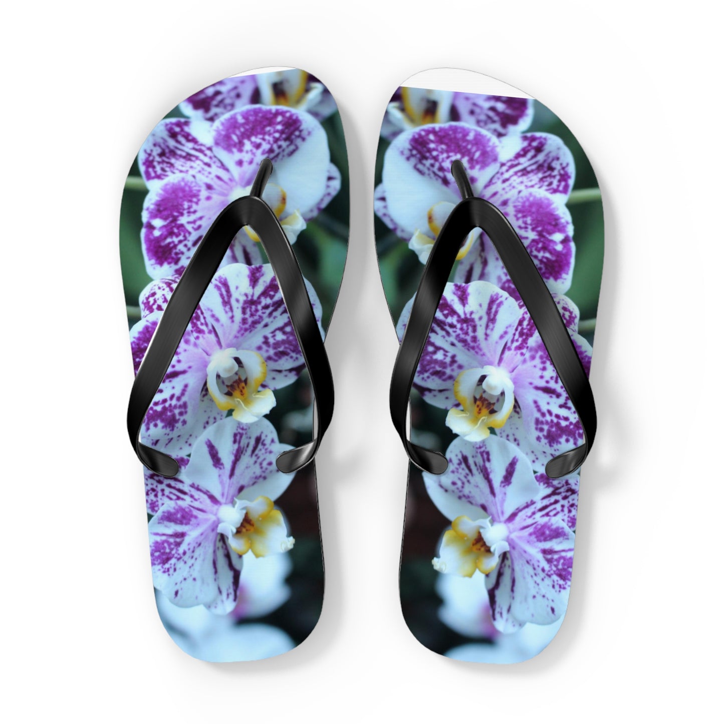 Flip Flops, Orchids, Purple, Flowers