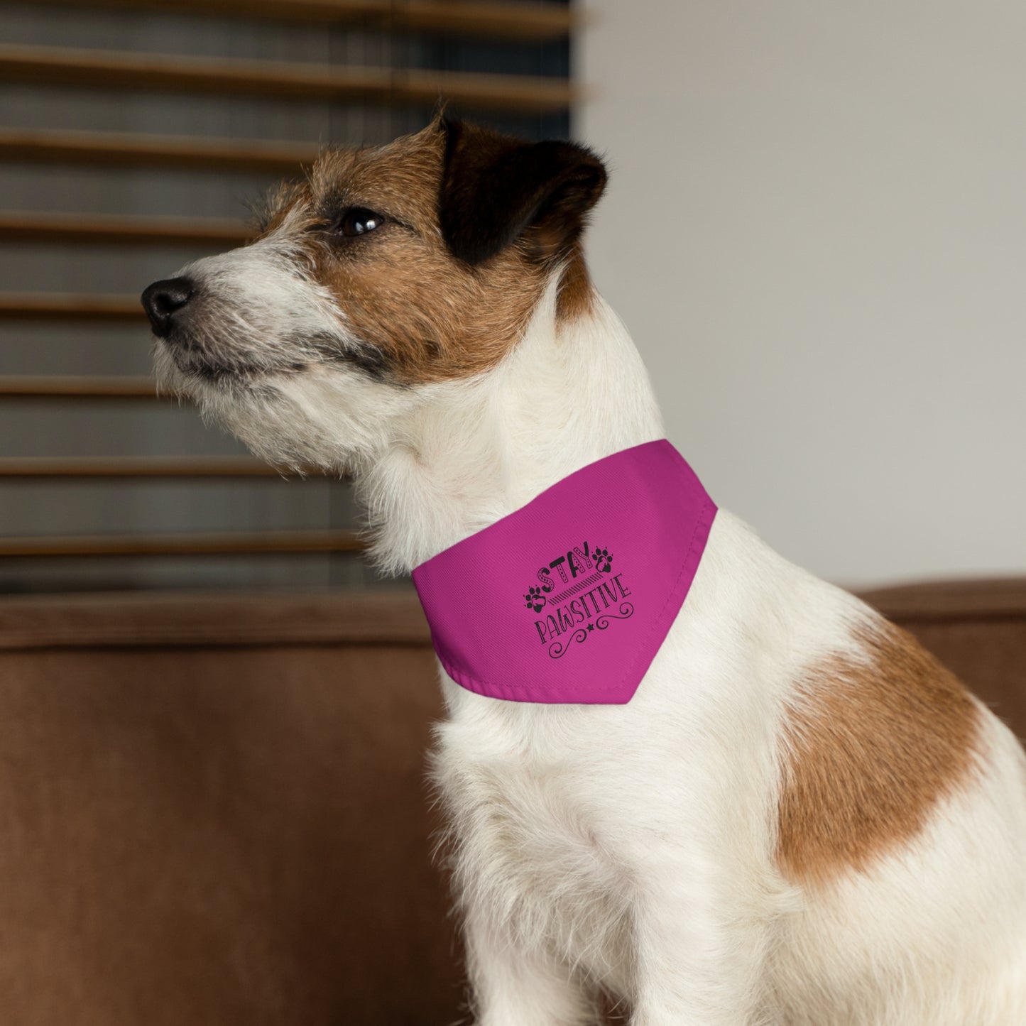 Pet Bandana Collar, Stay Pawsitive, Hot Pink