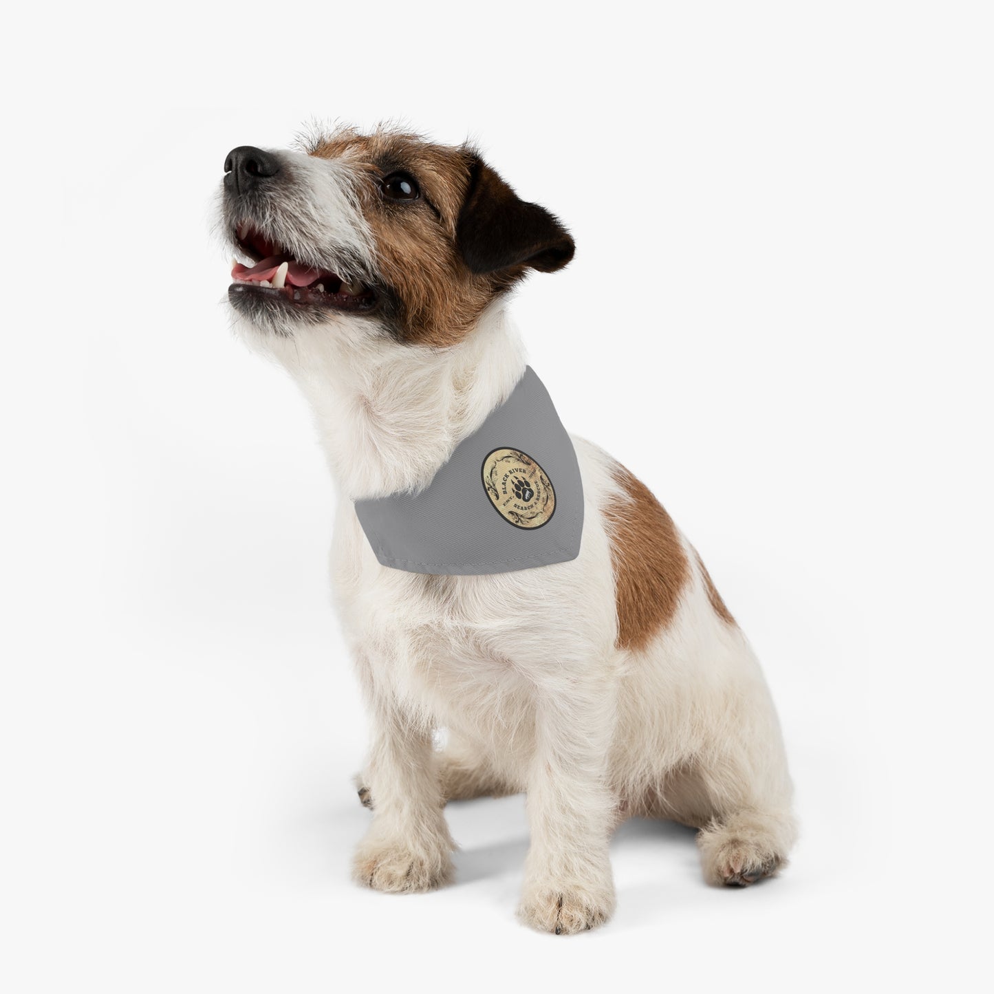 Grey Black River Search & Rescue Logo Pet Bandana Collar