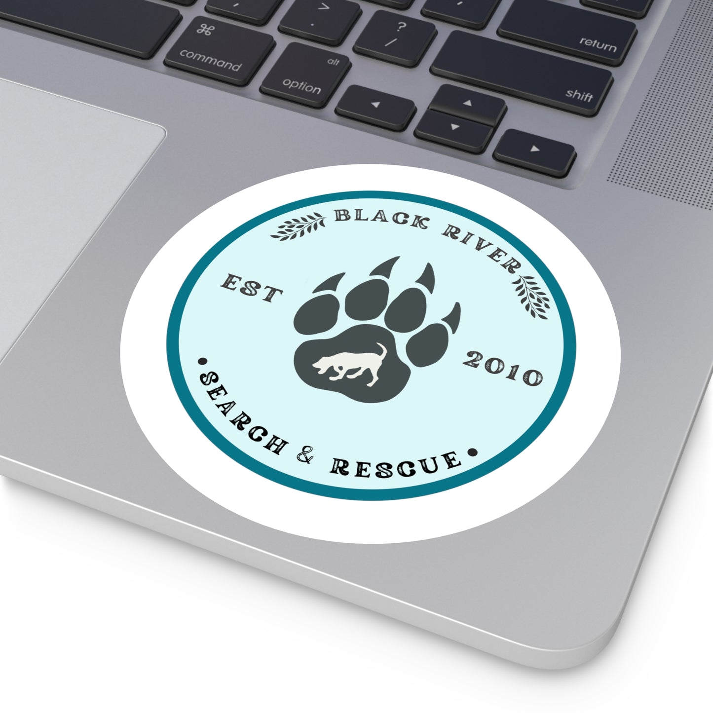 BRSAR Logo Round Stickers, Indoor\Outdoor, Multiple sizes, Turquoise