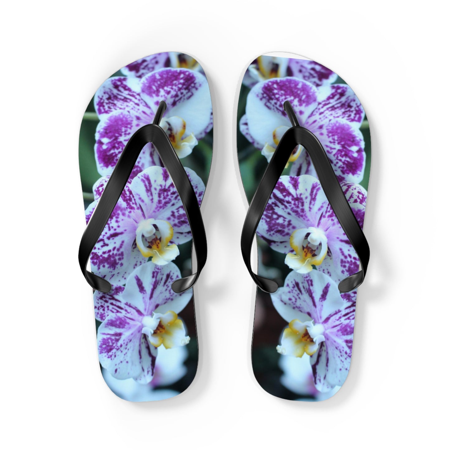 Flip Flops, Orchids, Purple, Flowers