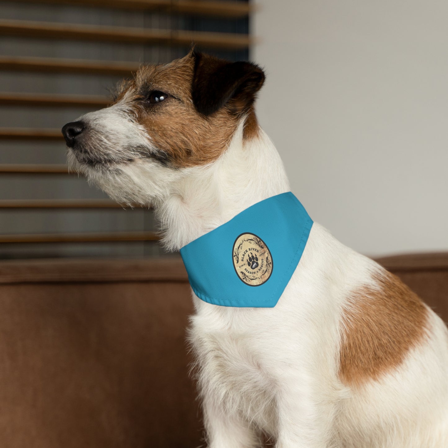 Turquoise Black River Search & Rescue Logo Pet Bandana Collar