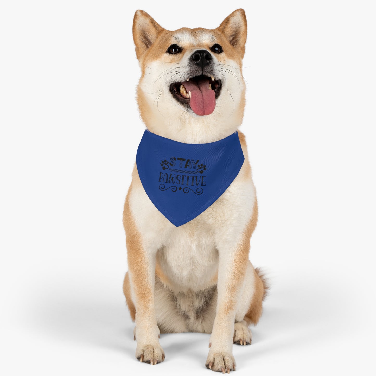 Pet Bandana Collar, Stay Pawsitive, Dark Blue