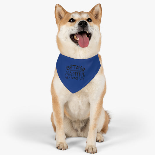 Pet Bandana Collar, Stay Pawsitive, Dark Blue