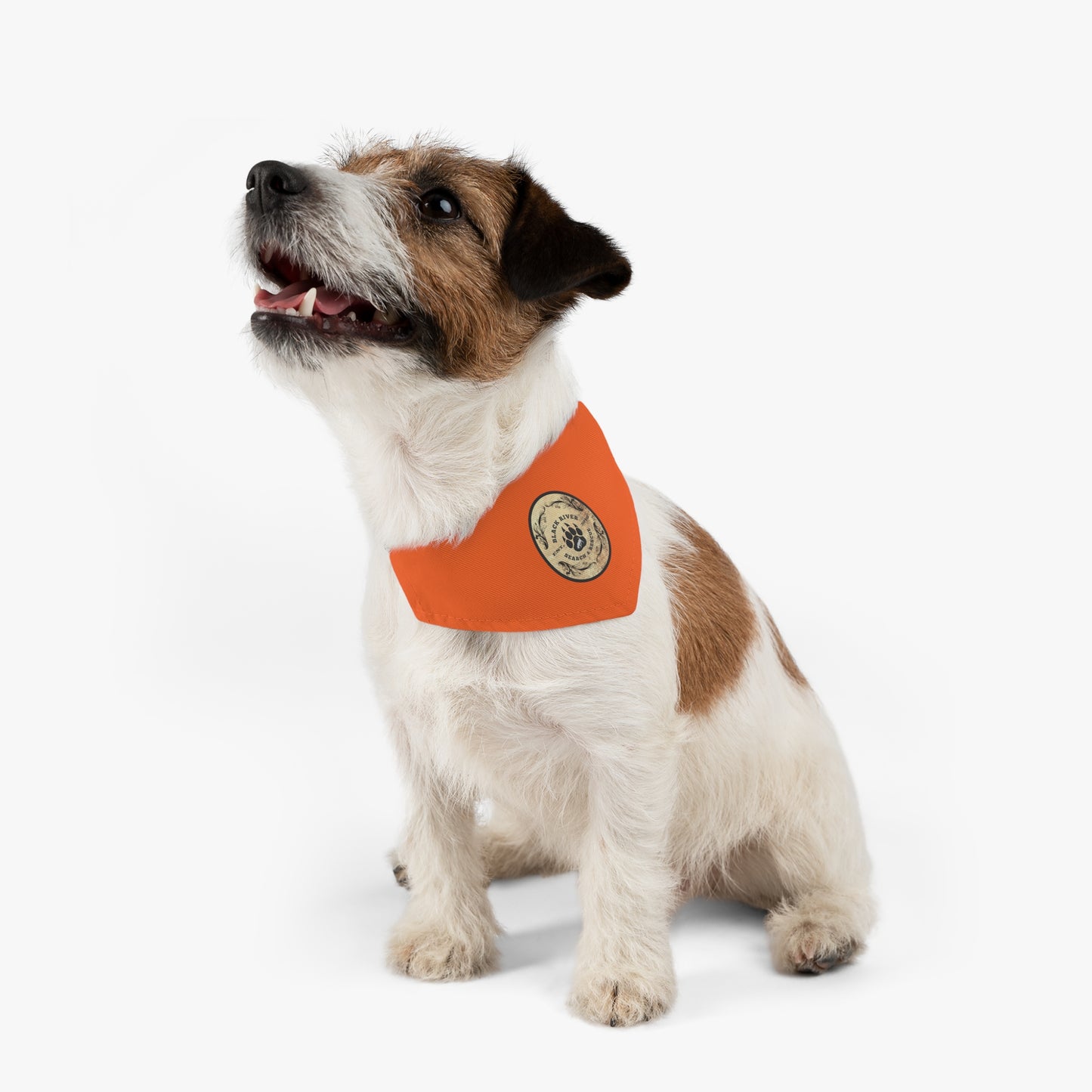 Orange Black River Search & Rescue Logo Pet Bandana Collar