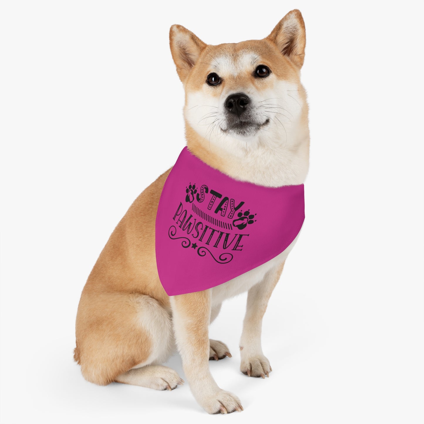 Pet Bandana Collar, Stay Pawsitive, Hot Pink