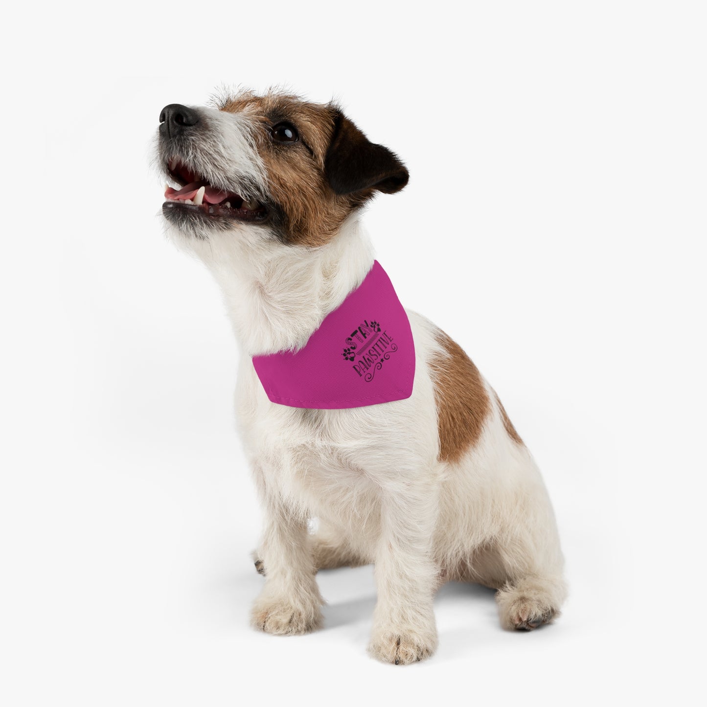 Pet Bandana Collar, Stay Pawsitive, Hot Pink