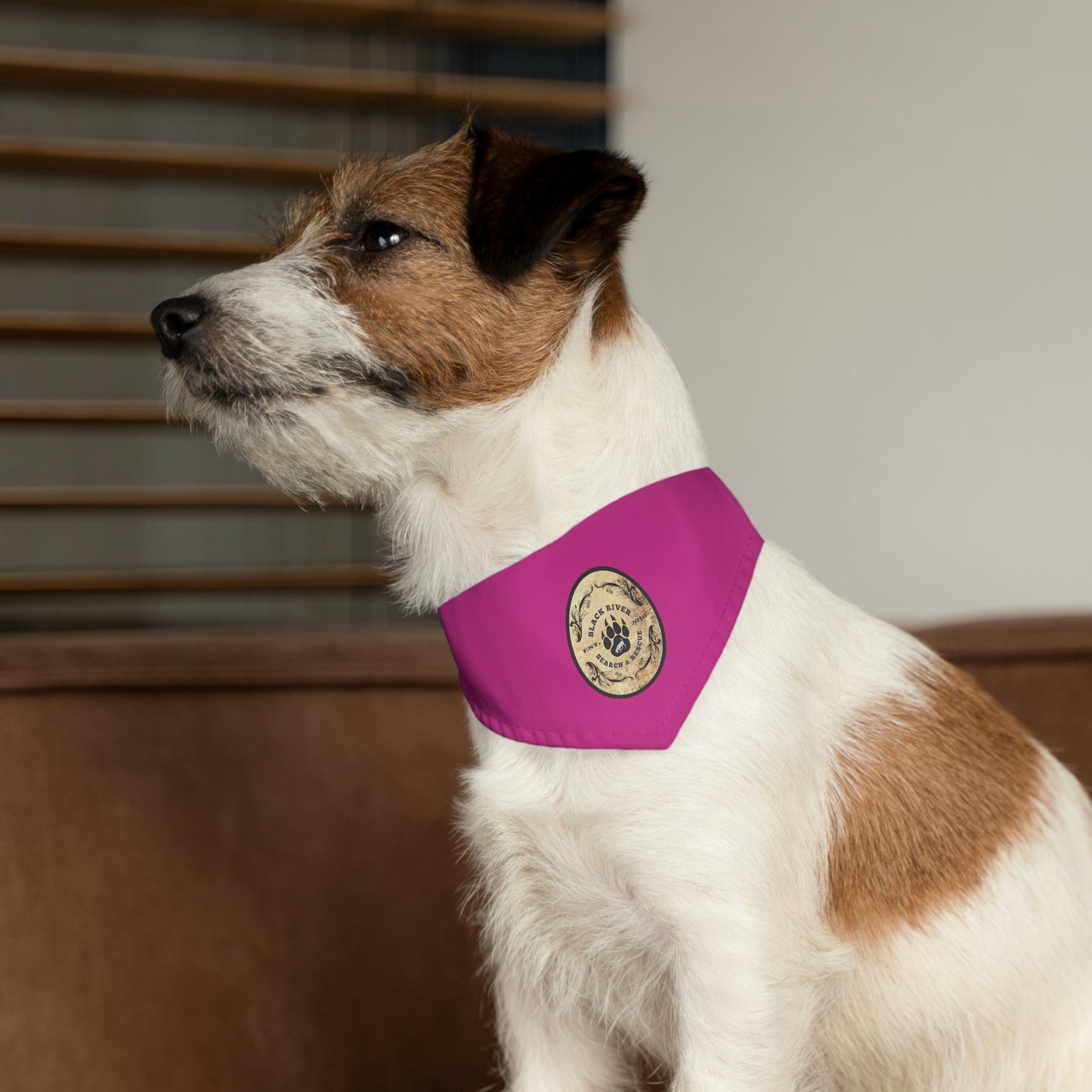 Pink Black River Search & Rescue Logo Pet Bandana Collar