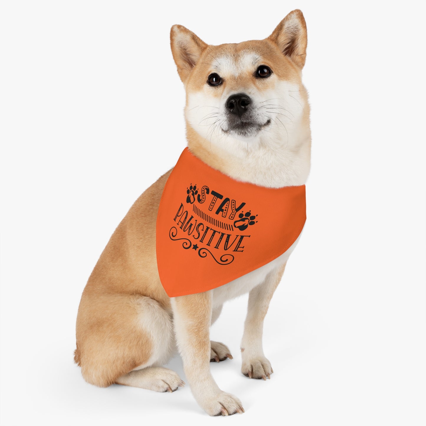 Pet Bandana Collar, Stay Pawsitive, Orange