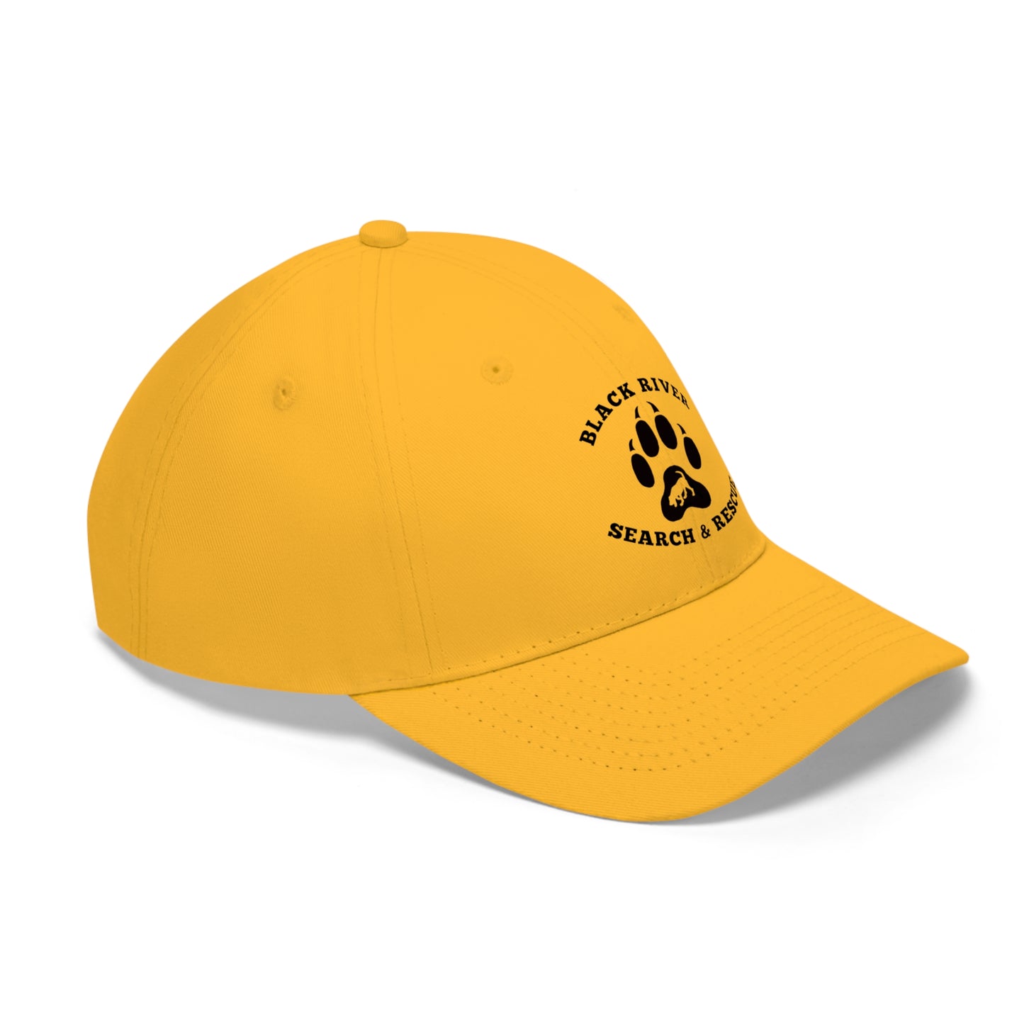 BRSAR Logo Unisex Twill Hat