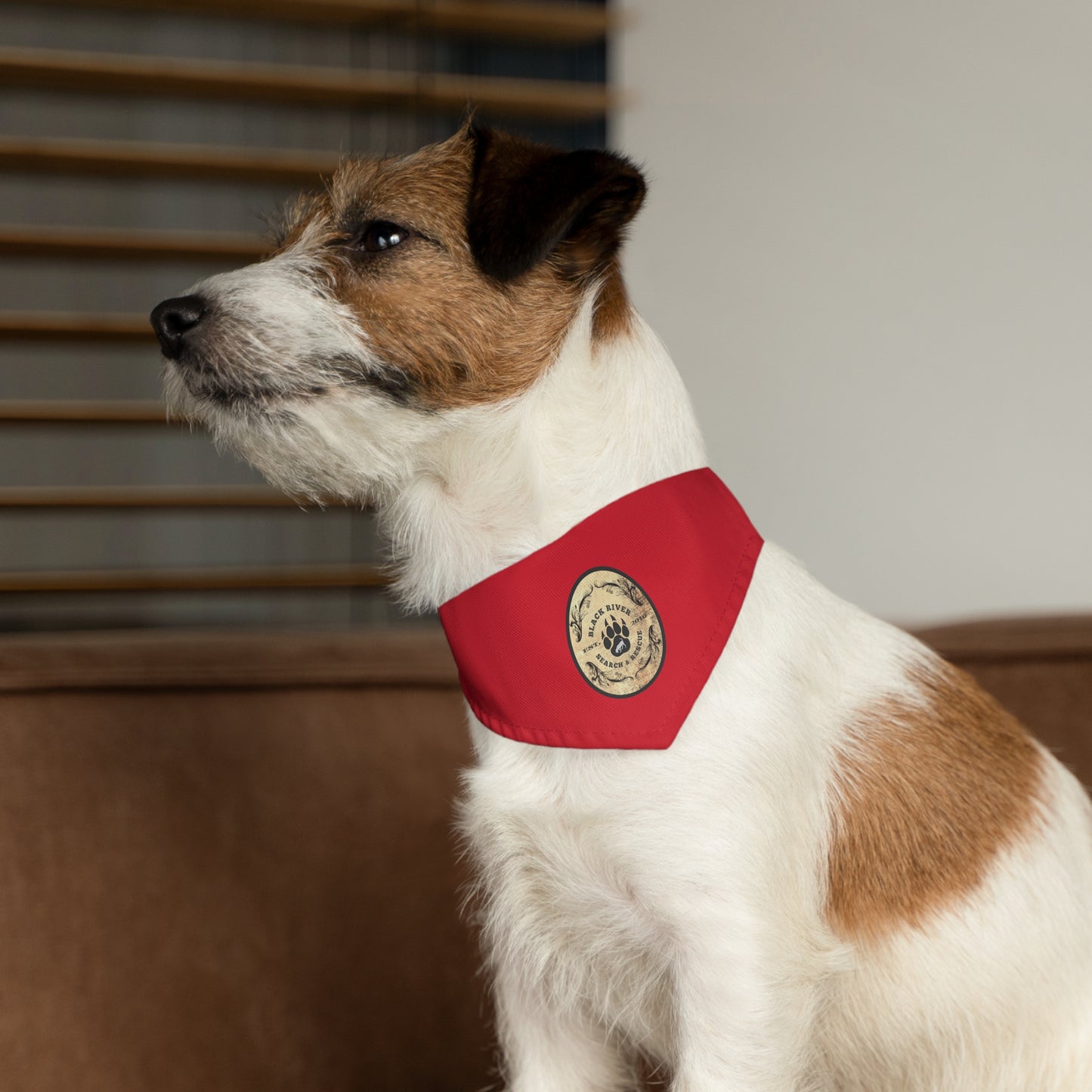 Red Black River Search & Rescue Logo Pet Bandana Collar