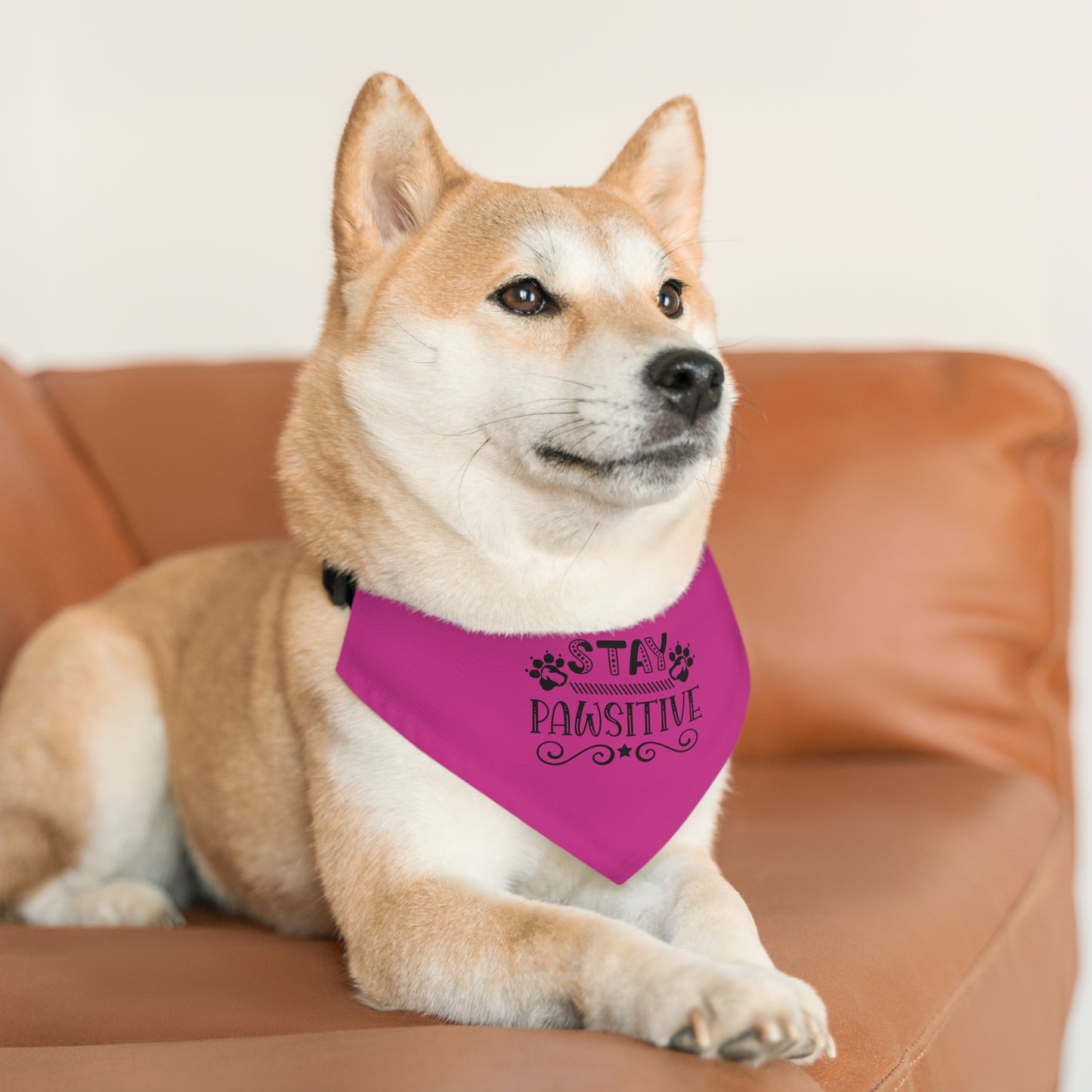 Pet Bandana Collar, Stay Pawsitive, Hot Pink