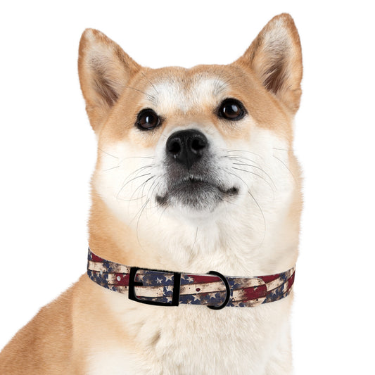 Distressed Flag Dog Collar