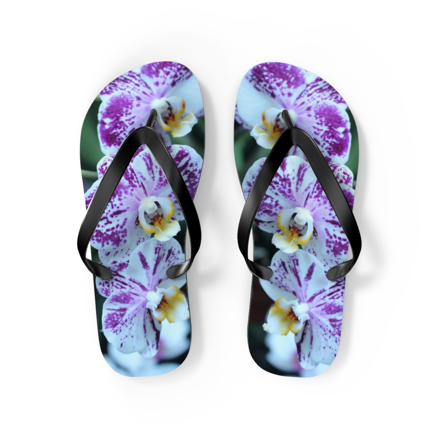 Flip Flops, Orchids, Purple, Flowers